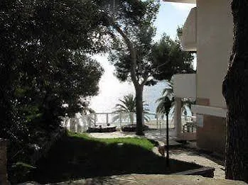 Nightlife Apartments Magaluf  Spanien