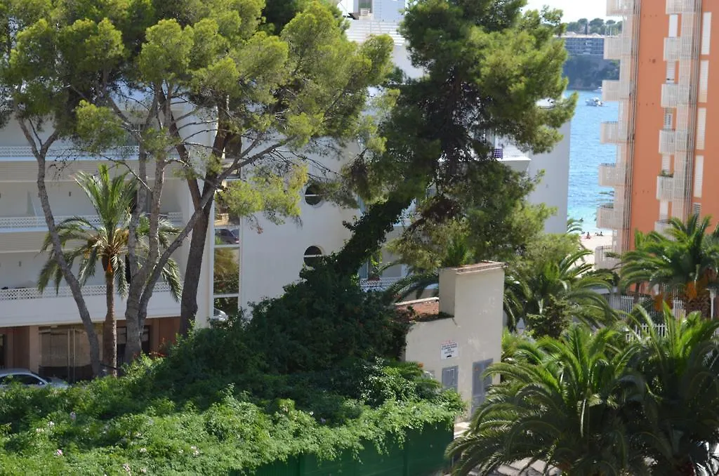 Nightlife Apartments Magaluf  Spanien